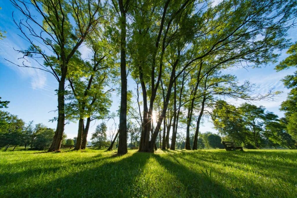 bhaus-journal-por-que-morar-em-itu-floresta-itu