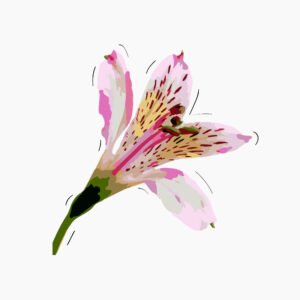 bhaus-empreendimentos-itu-casa-clara-ilustracao-2