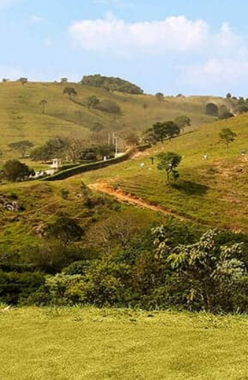 bhaus-melhores-condomínios-fechados-em-itu-area-verde-campos-de-santo-antonio-II
