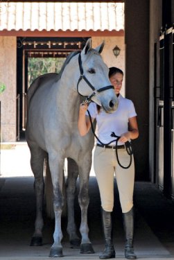 bhaus-melhores-condomínios-fechados-em-itu-hipismo-terras-de-sao-jose-I