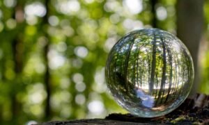 bhaushome-journal-design-biofilico-capa